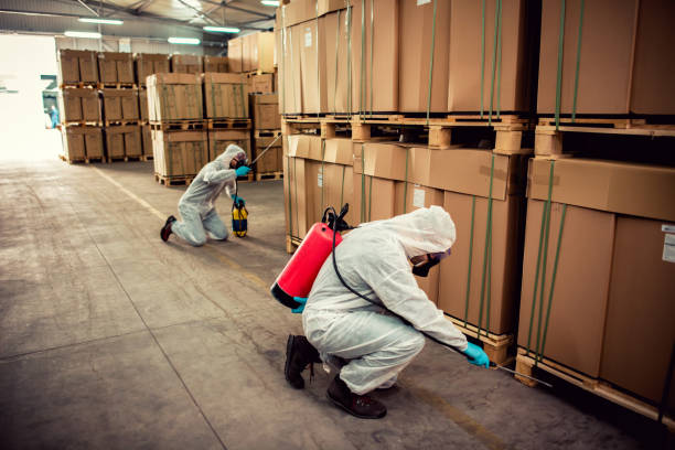 Best Wasp Removal Services  in Uintah, UT
