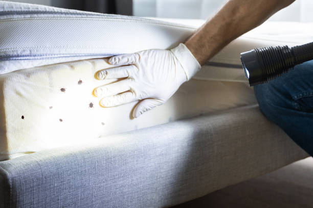 Best Pest Control Near Me  in Uintah, UT
