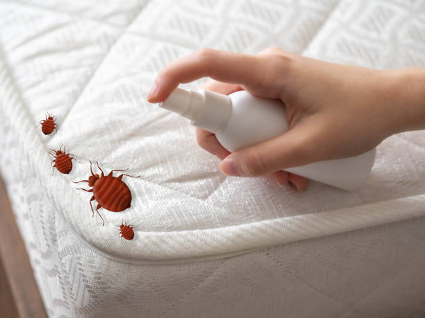 Pest Prevention Services in Uintah, UT