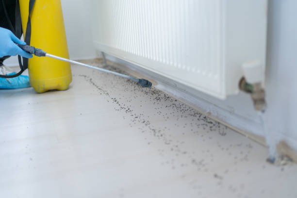 Best Pest Prevention Services  in Uintah, UT