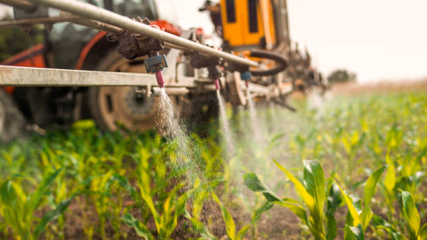 Best Wildlife Control Services  in Uintah, UT
