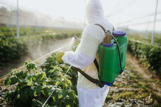 Best Pest Prevention Services  in Uintah, UT